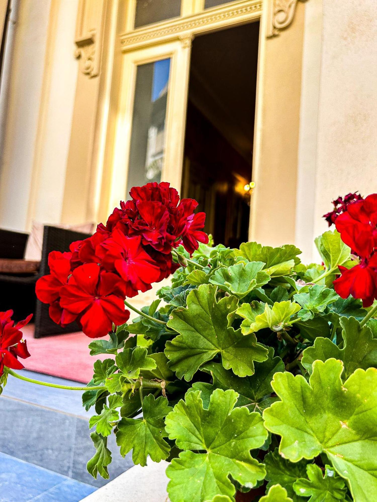 Hotel Boutique Casa Vermont 부쿠레슈티 외부 사진